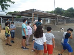 FAMILIAS VISITA PROTECTORA ANIMALES 19-07-2020